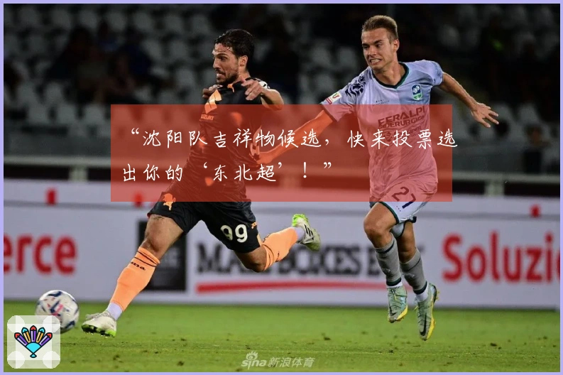 “沈阳队吉祥物候选，快来投票选出你的‘东北超’！”