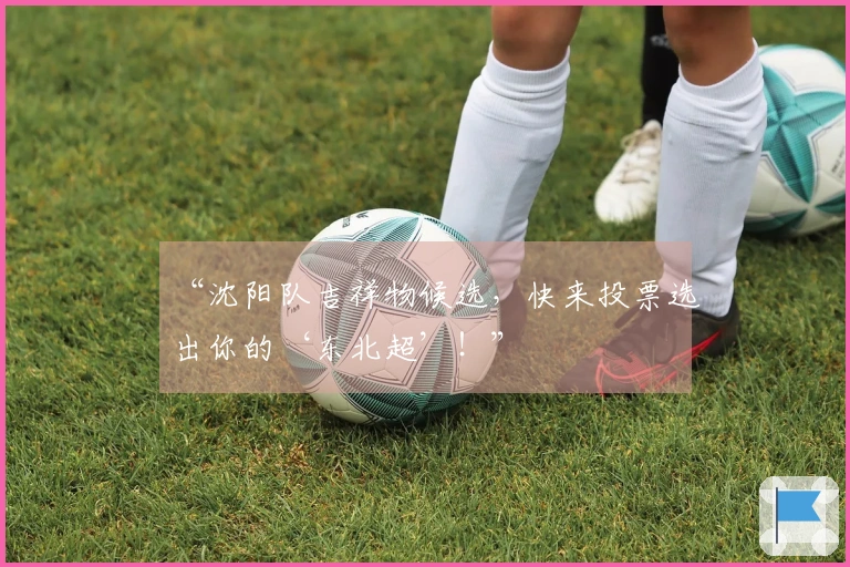 “沈阳队吉祥物候选，快来投票选出你的‘东北超’！”