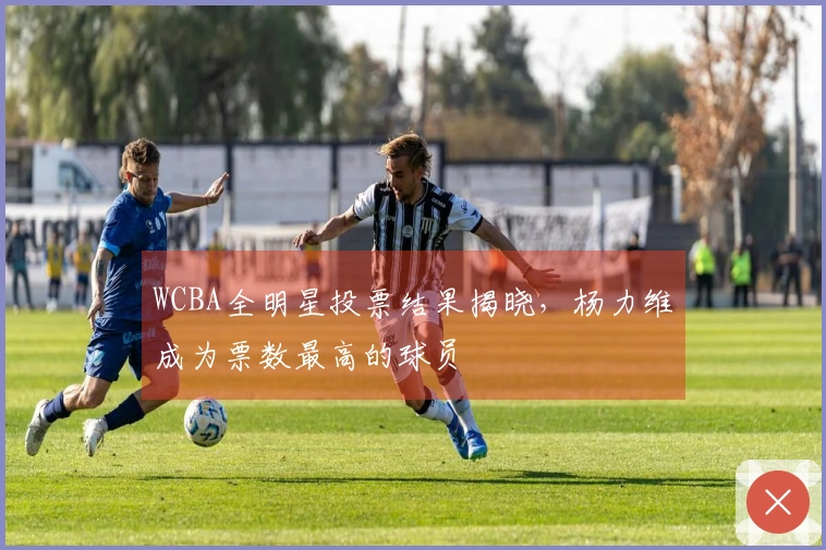 WCBA全明星投票结果揭晓，杨力维成为票数最高的球员